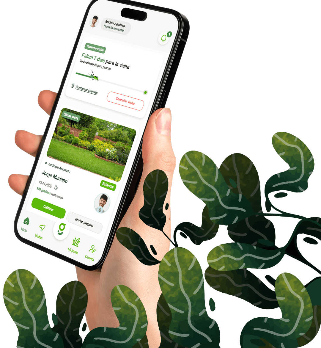 Imagen de una mano sosteniendo un celular