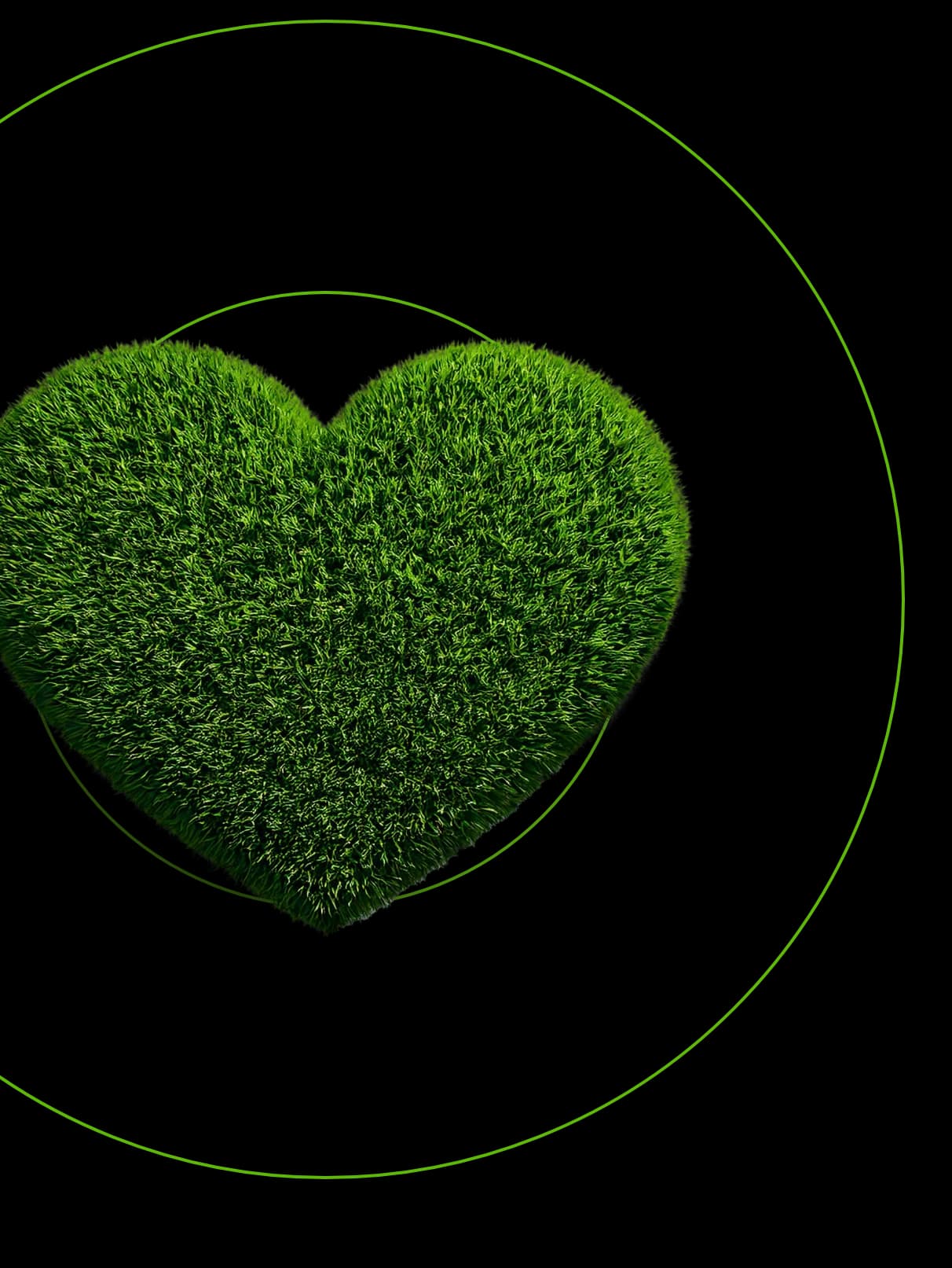 Corazón de césped verde